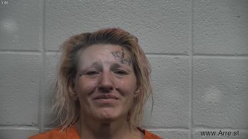 Tonya  Alcorn Mugshot