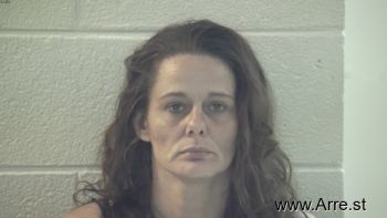 Tonya Lee Hollis Mugshot