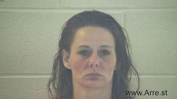 Tonya Lee Hollis Mugshot