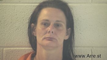 Tonya Lee Hollis Mugshot