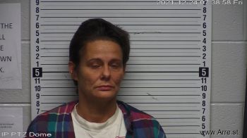 Tonya  Hollis Mugshot