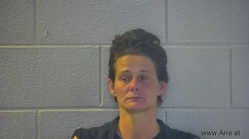 Tonya Lee Hollis Mugshot