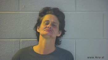 Tonya Lee Hollis Mugshot