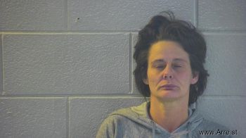 Tonya Lee Hollis Mugshot