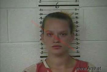 Tonya L Roark Mugshot