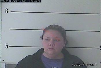 Tonya Lynn Sturgill Mugshot