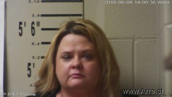 Tracy Lynne Collins Mugshot