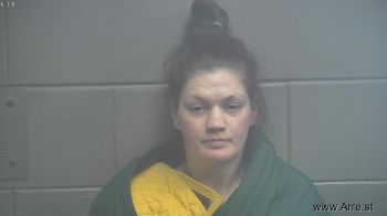 Tracy Lynn Pagel Mugshot