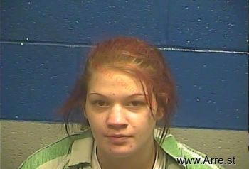 Tracy Lynn Pagel Mugshot