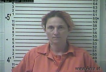 Tracy Lynn Parker Mugshot