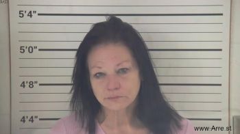 Tracy Lee Robinson Mugshot