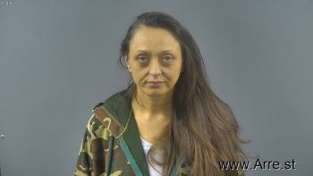 Tracy Lynn Sanders Mugshot