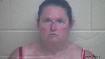 Tracy Lynn Waters Mugshot