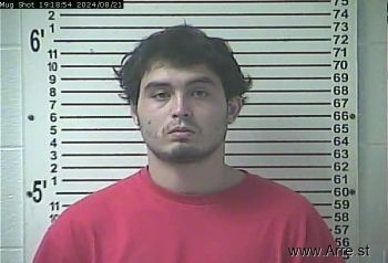 Travis Michael Leedom Mugshot