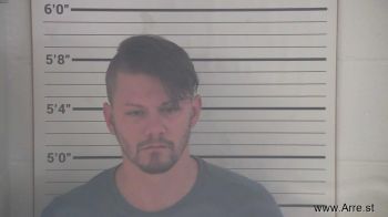 Tyler Lynn Baldwin Mugshot