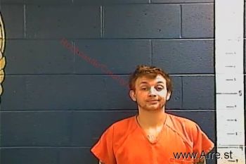 Tyler Barnes Mobley Mugshot