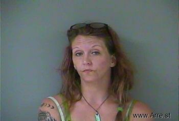 Tamara Anne Gipson Mugshot