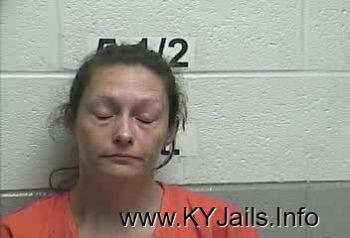 Tammy Darlene Fuston   Mugshot