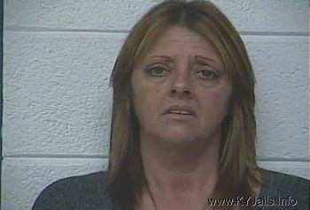 Tammy Louise Mullins   Mugshot