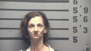 Tammy  Stafford Mugshot