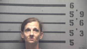 Tammy  Stafford Mugshot