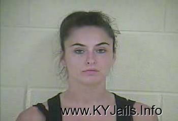 Tara Nicole Lamer   Mugshot