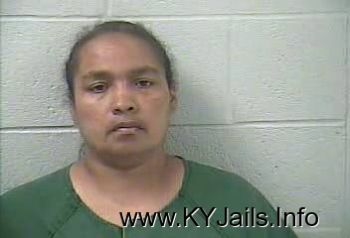 Teresa Garlina Johnson   Mugshot