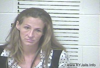 Terri L Osborne   Mugshot