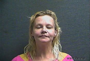 Tina L Johnson Mugshot