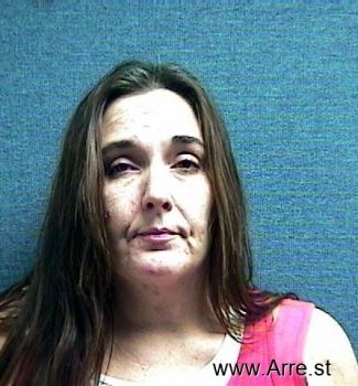 Tracy Ann Burns Mugshot