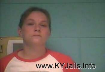 Tracy C Hisle   Mugshot