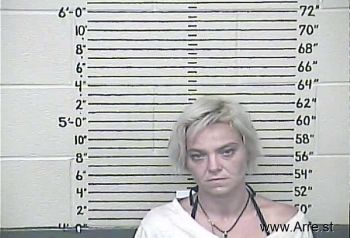 Vanessa Rena Gollihue Mugshot