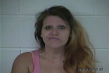 Vanessa L Mayer Mugshot