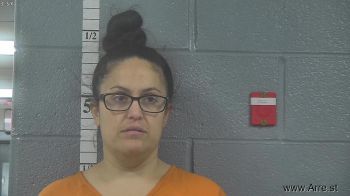 Vanessa Lee Saco Mugshot