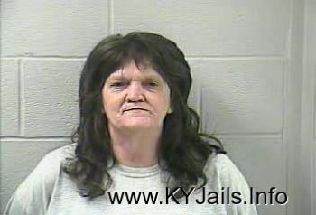 Vickie Lynn Stout   Mugshot