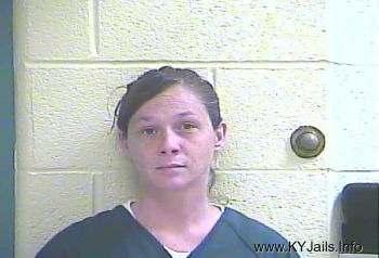 Virginia K Embry   Mugshot