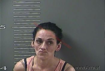 Wanda S Williams Mugshot