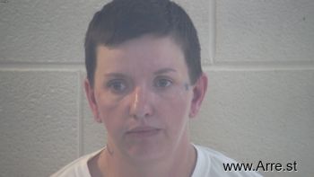 Wendi Gail Dillman Mugshot