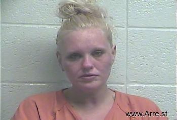 Whitney L Williams Mugshot