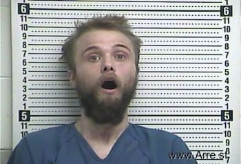 William Tyler Luttrell Mugshot