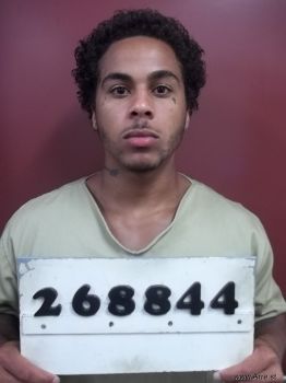 William T Jr Hayes Mugshot