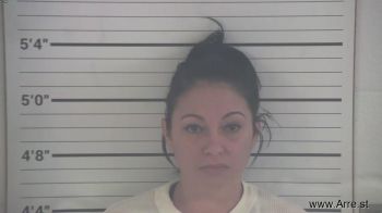 Yanara  Nunez Manrresa Mugshot