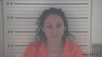 Yanara  Nunez Manrresa Mugshot