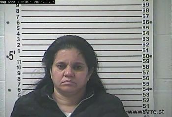 Yanet Nmn Torres Castillo Mugshot