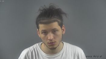 Zachary Dane Blevins Mugshot