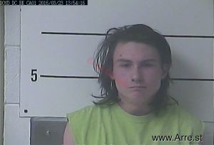 Aaron Fannin Arrest Mugshot