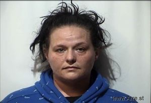 Allison Cowell Arrest Mugshot