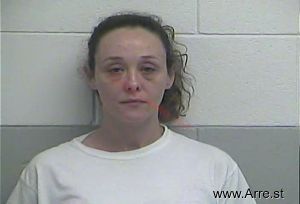 Amanda  Brewer Arrest Mugshot