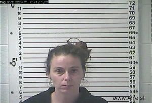 Amanda Gibson Arrest Mugshot