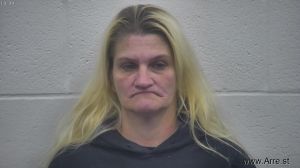 Amanda  King Arrest Mugshot